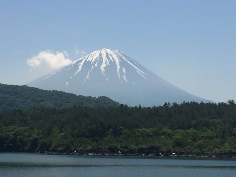 El bosque de los suicidios a los pies del Monte Fuji