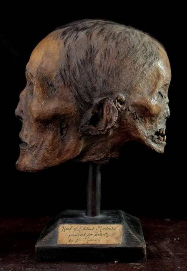 Reproducción del cráneo de Edward Mordrake