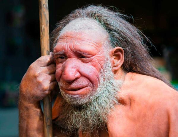 La razón de la desaparición de los neandertales