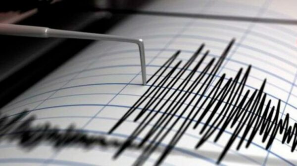 Cómo funciona la escala de Richter y la medición de los terremotos