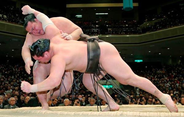 Luchadores de sumo
