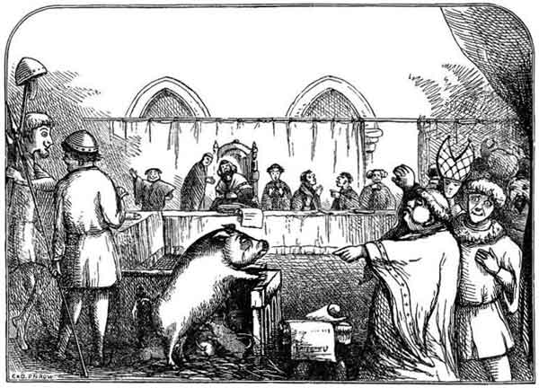 Ilustración de un juicio animal
